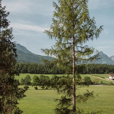 Apartmán Hoamhaus Saint Wolfgang Exteriér fotografie