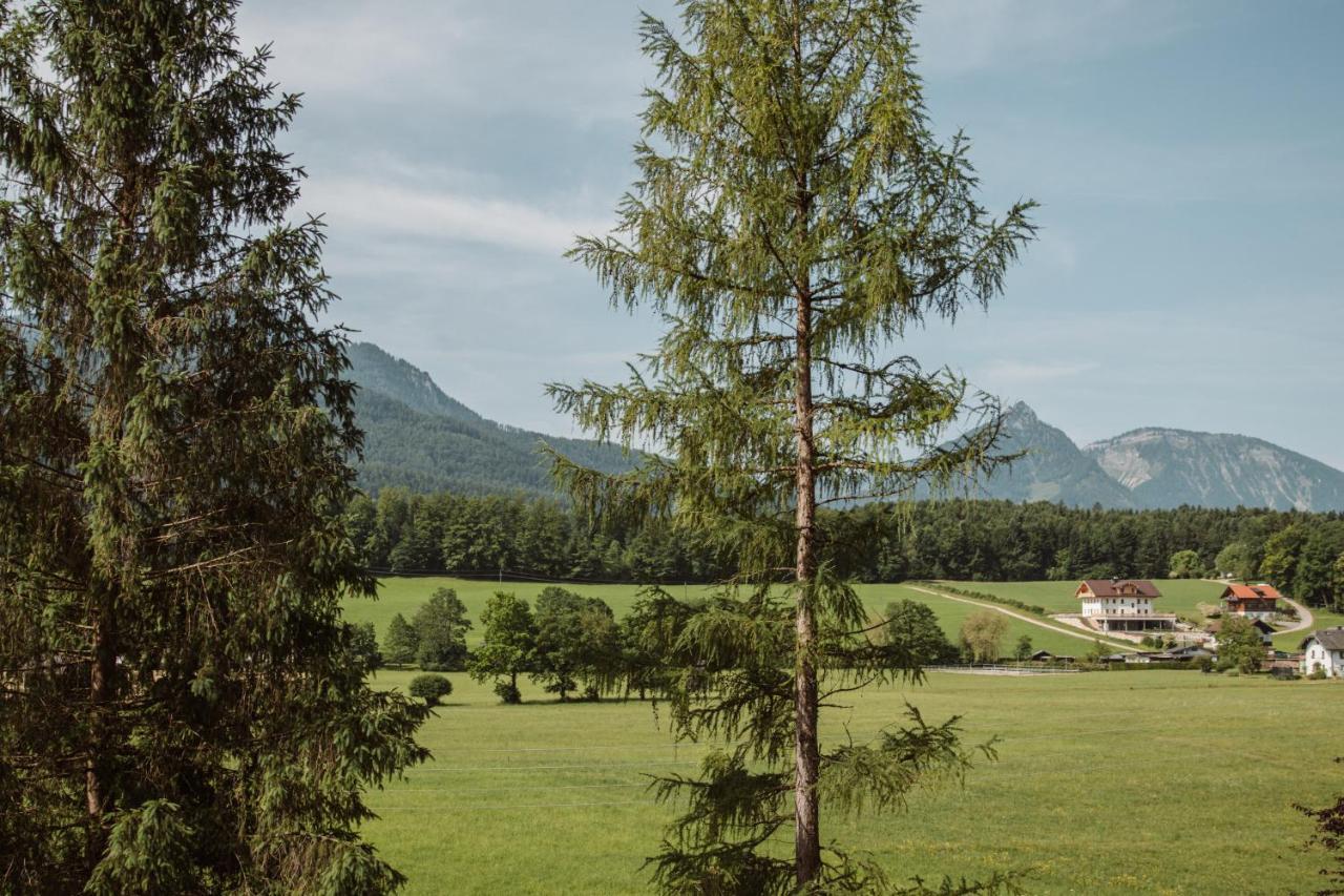 Apartmán Hoamhaus Saint Wolfgang Exteriér fotografie
